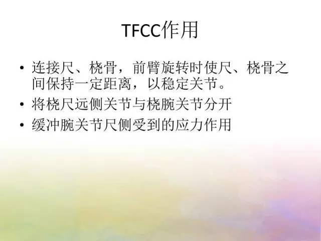 基础学习腕关节解剖详解