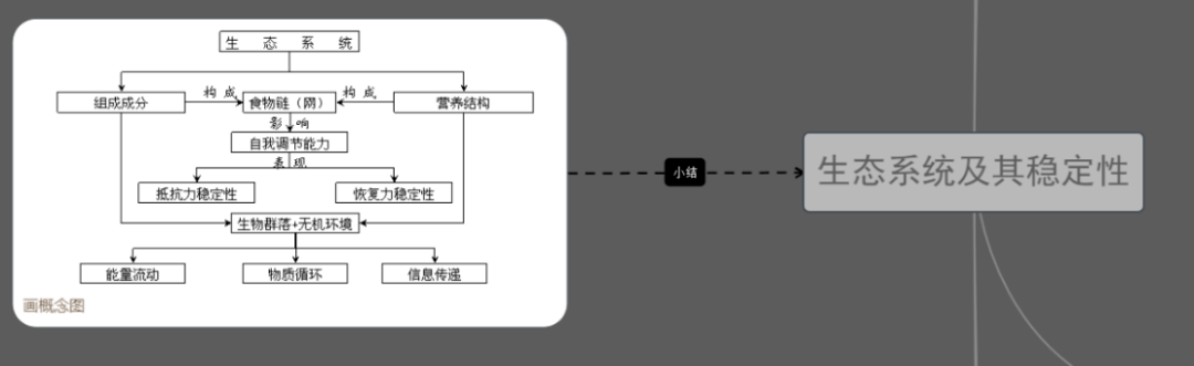 高三二轮复习学生思维导图分享生态系统及其稳定性