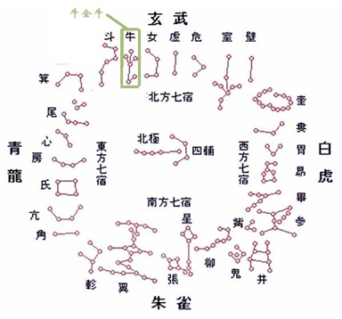 牛年说牛,"星"鲜的知识又增加了!