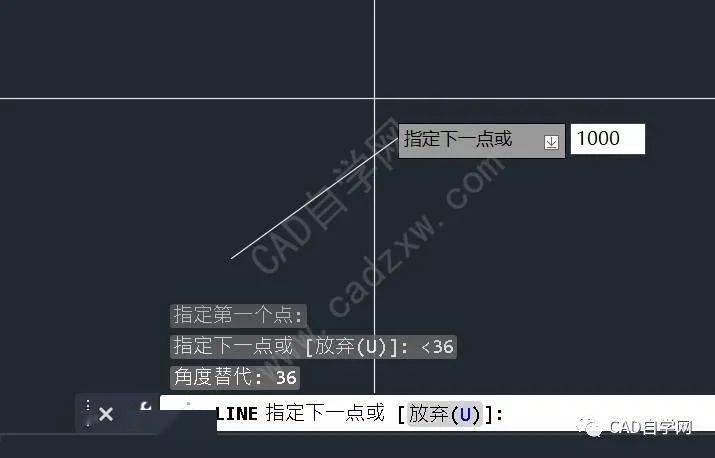 cad中绘制直线能先输入角度?