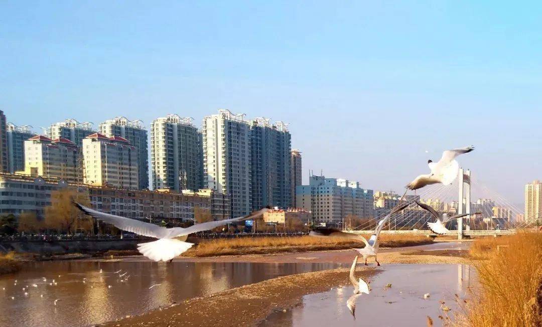 临夏大夏河生态美成为生动风景线