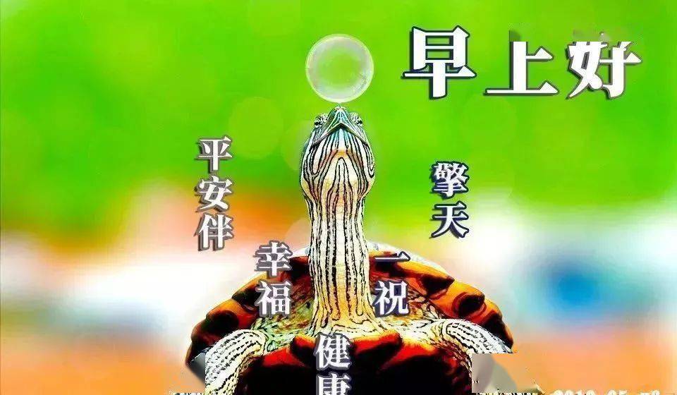 2月24日大家早上好,特好看的早安图片带字,祝福您幸福