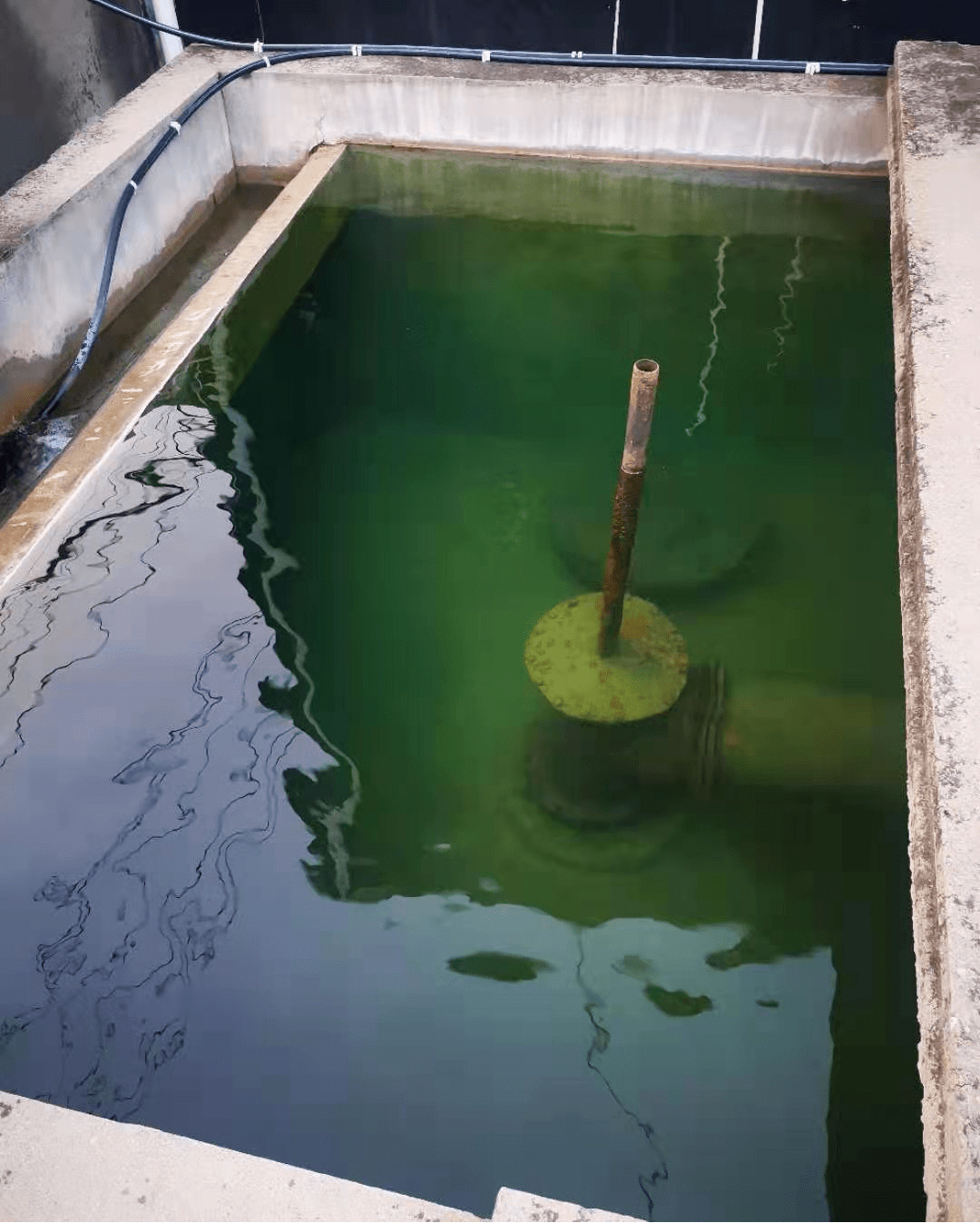 苏支河南平段面河水浑浊问题调查情况通报