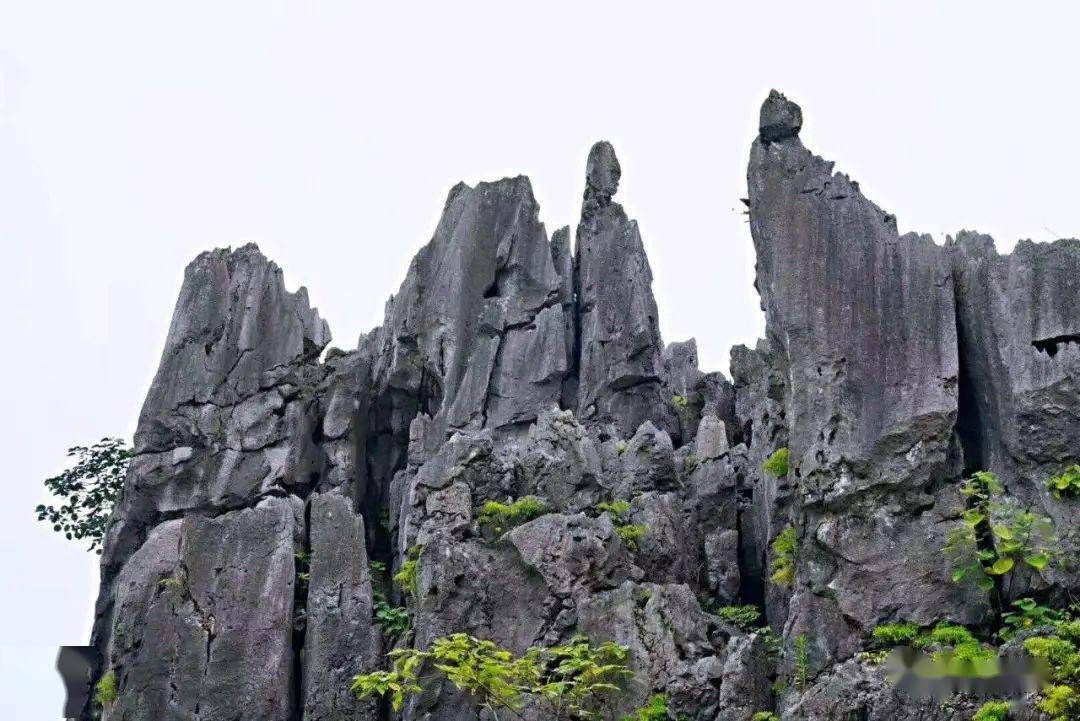 富川·神剑石林自由游行,前往这片神秘园林