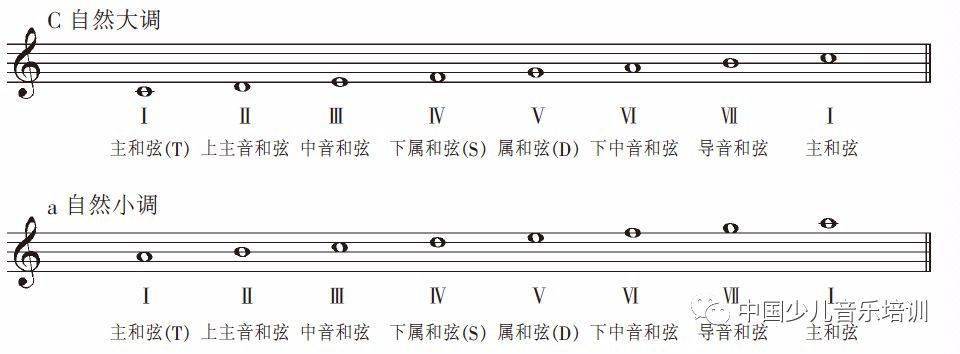 基本乐理教案范文_幼师基本乐理教案_乐理视唱练耳教案范文