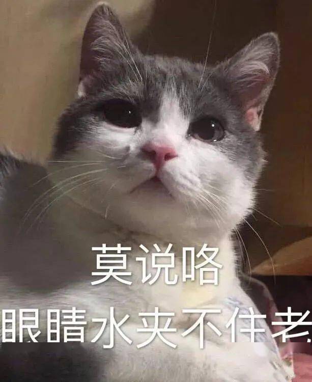 慌慌慌,好慌啊!