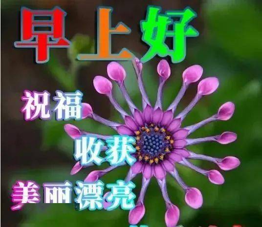 朋友问候图片 新版2021,问候图片新版2021 2021微信朋友圈群发早晨问候语带图片,2021微信早上好