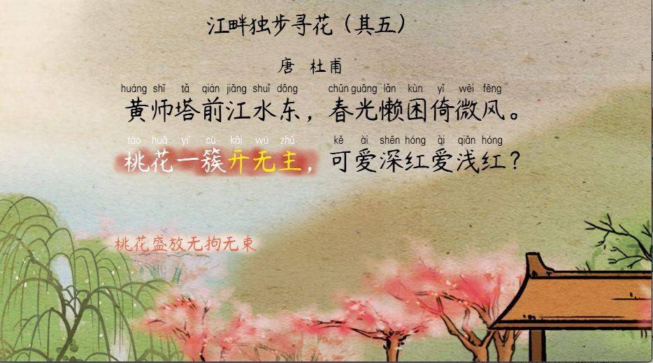 【语文大师】江畔独步寻花——唐.杜甫