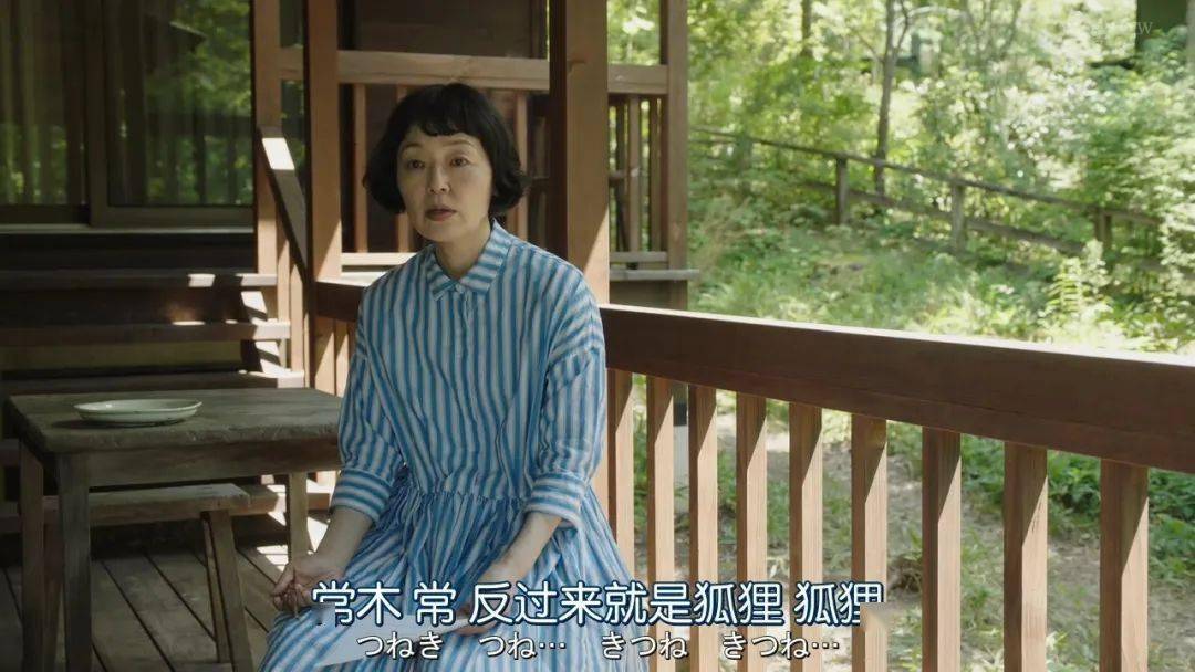 《森林民宿》影评:短短6集的8.6分深夜剧,却是今年第一份治愈