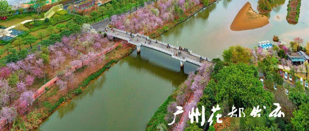 如梦似幻,令人迷醉 自2013年10月开园至今 花都湖国家湿地公园沿环湖