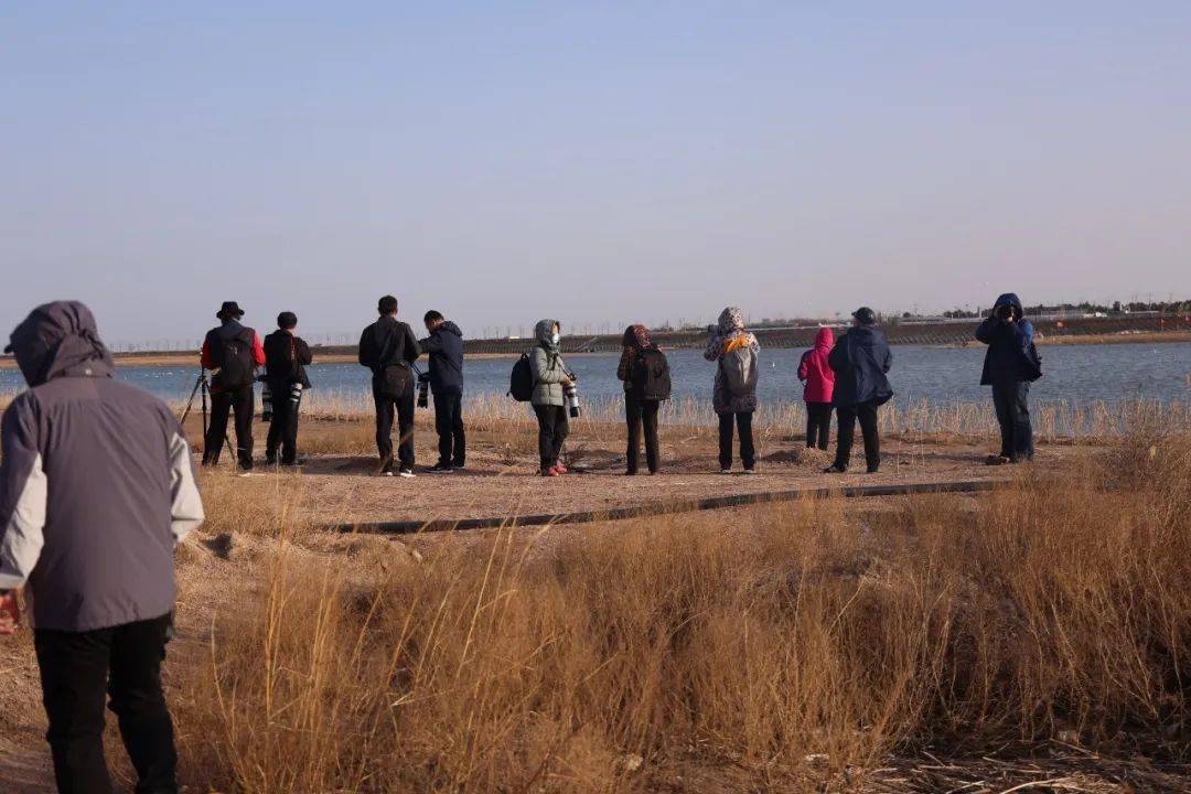 【美图欣赏】两城河口湿地公园 美景不容错过