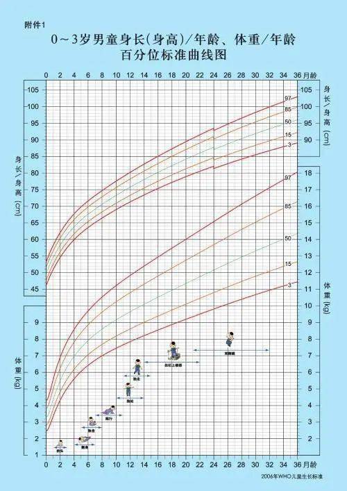 2021身高发育对照表出炉快看看你家娃达标了没