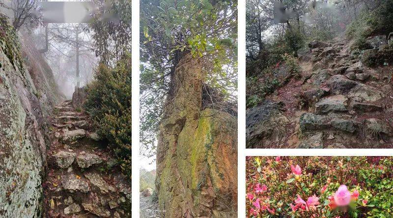 美丽永丰谳峰山的美藏于登山显于下山