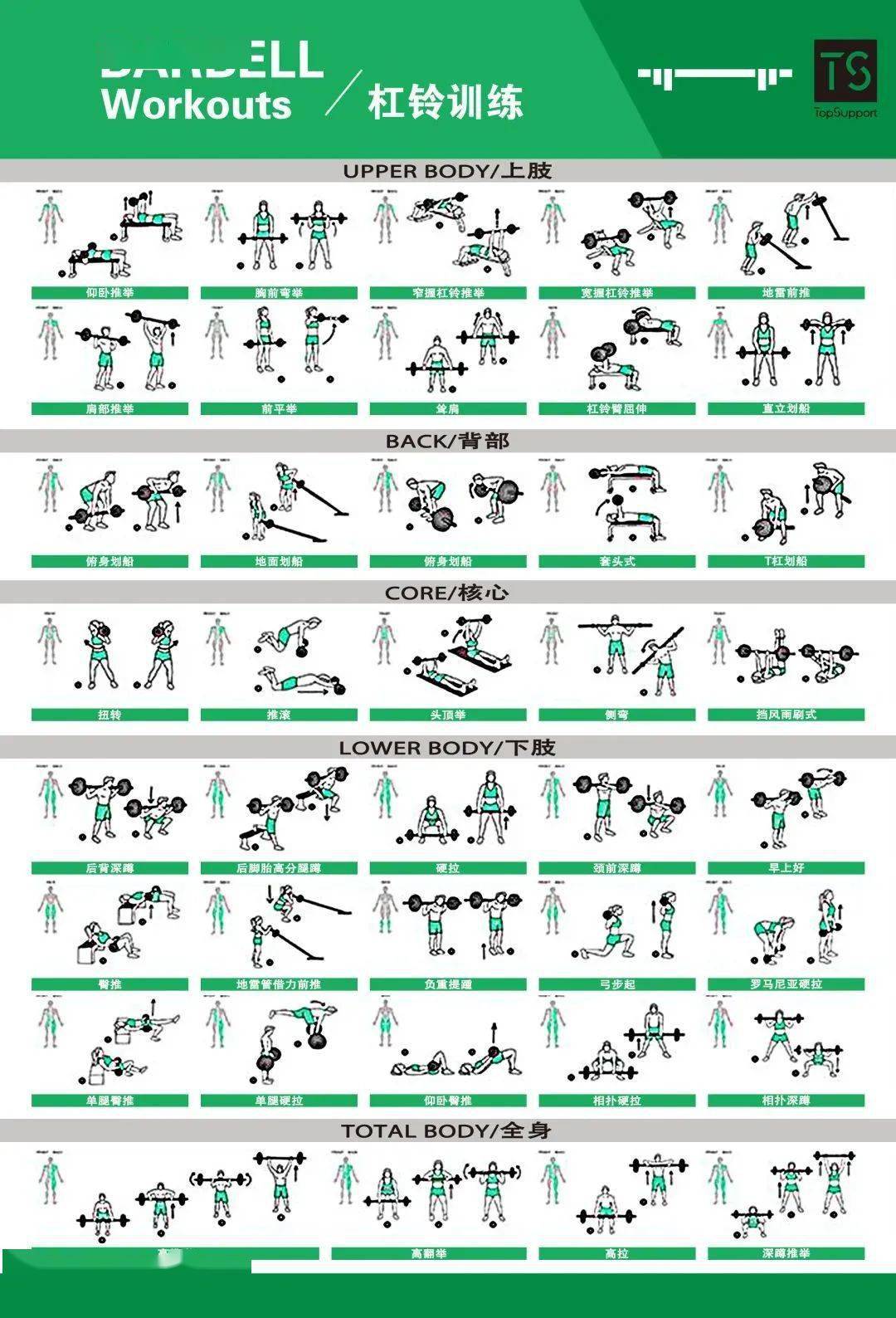 11种体能训练动作库图解大全收藏