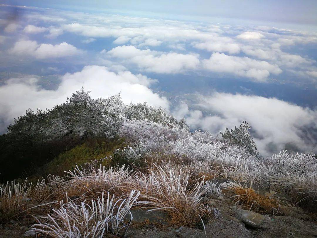 平江天岳幕阜山现雾凇美景美不胜收