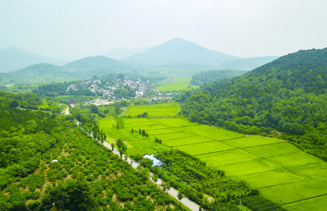 戴庄经验已在全市全省范围推广发展生态农业实现共同富裕