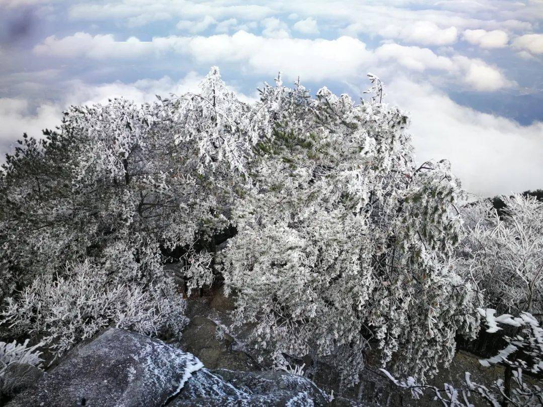 平江天岳幕阜山现雾凇美景美不胜收