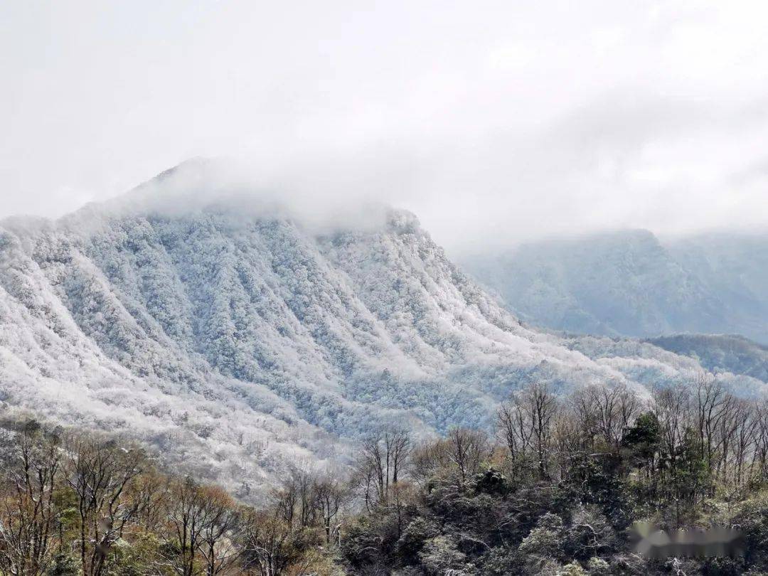 光雾山 天暖雪好无风的白色山谷 正是绝佳的观雪好时光 快来和南江米