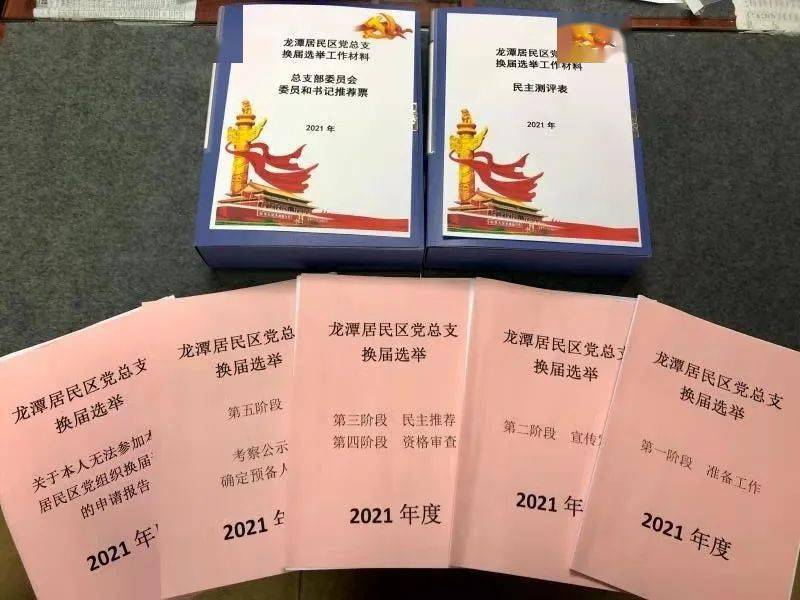 △龙潭居民区党总支换届选举工作台账