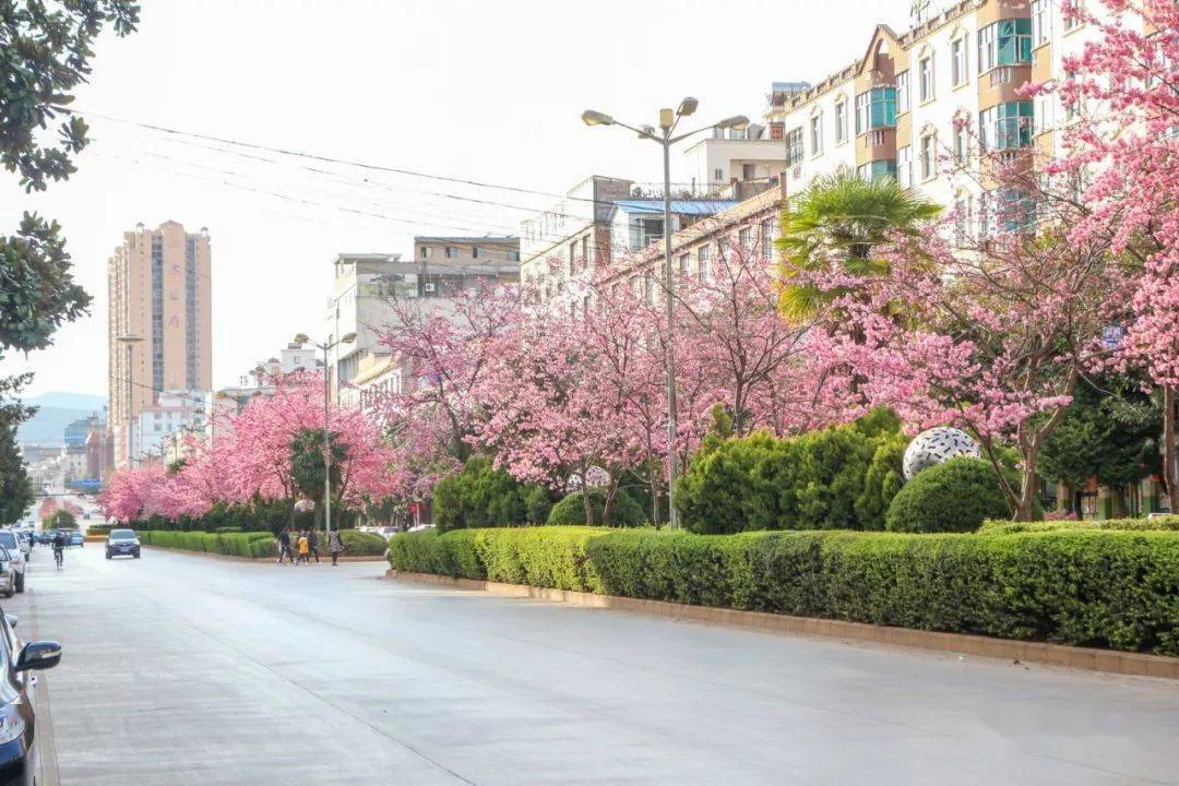 除美奂广场赏海棠花之外 宣威宛水公园,金月湖,玉泉山的花也开了