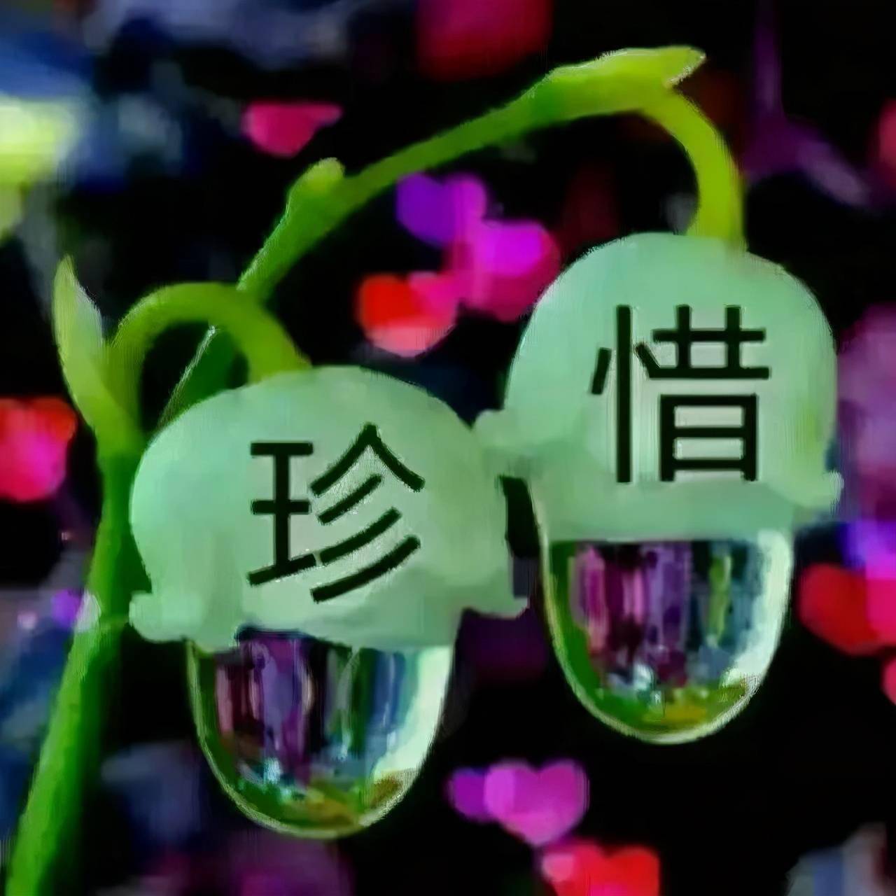 学会珍惜的一段话;早安