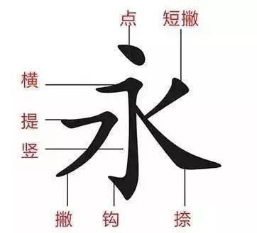 科普看看你有多少字的笔顺写错了