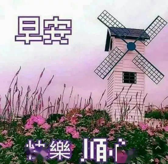 11张漂亮真人美女早安图片带字带祝福语 早上好正能量