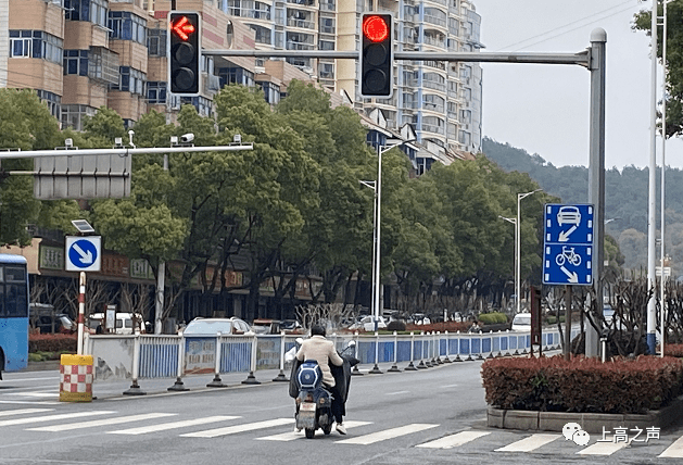 今日随手拍网友:喵喵还是淼淼▲市民在敖阳北路与敖山大道交叉口违