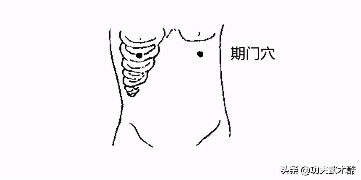 十一,期门穴  (一)"期门穴"的身体位置和作用 位置:两乳直下,第二肋