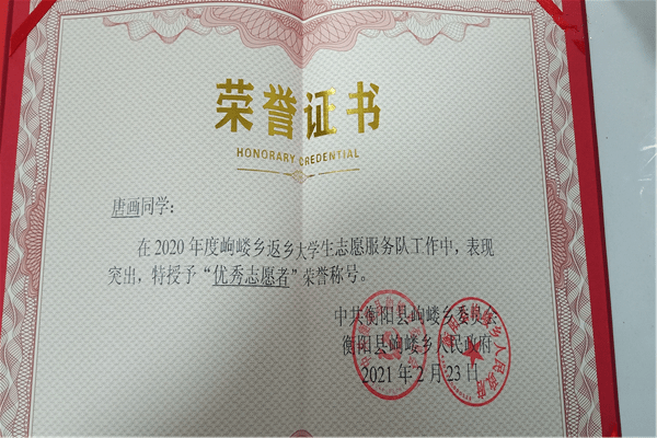 返乡大学生志愿服务队为家乡发展贡献青春力量,得到了广大群众的一致