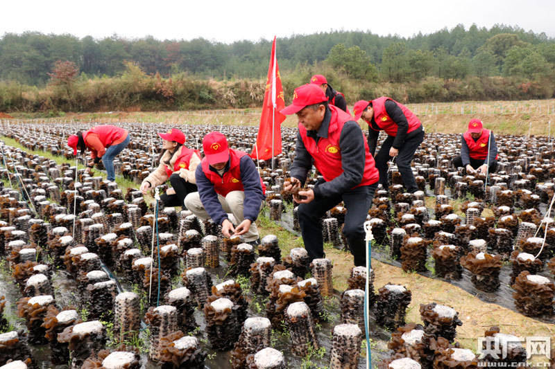 江西青原:新长征路上的雷锋们_彭生苟