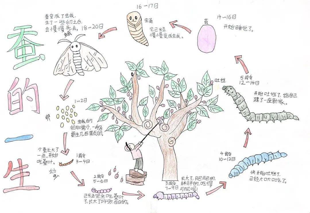 惊蛰到,春雷惊百虫 | 二十四节气自然笔记