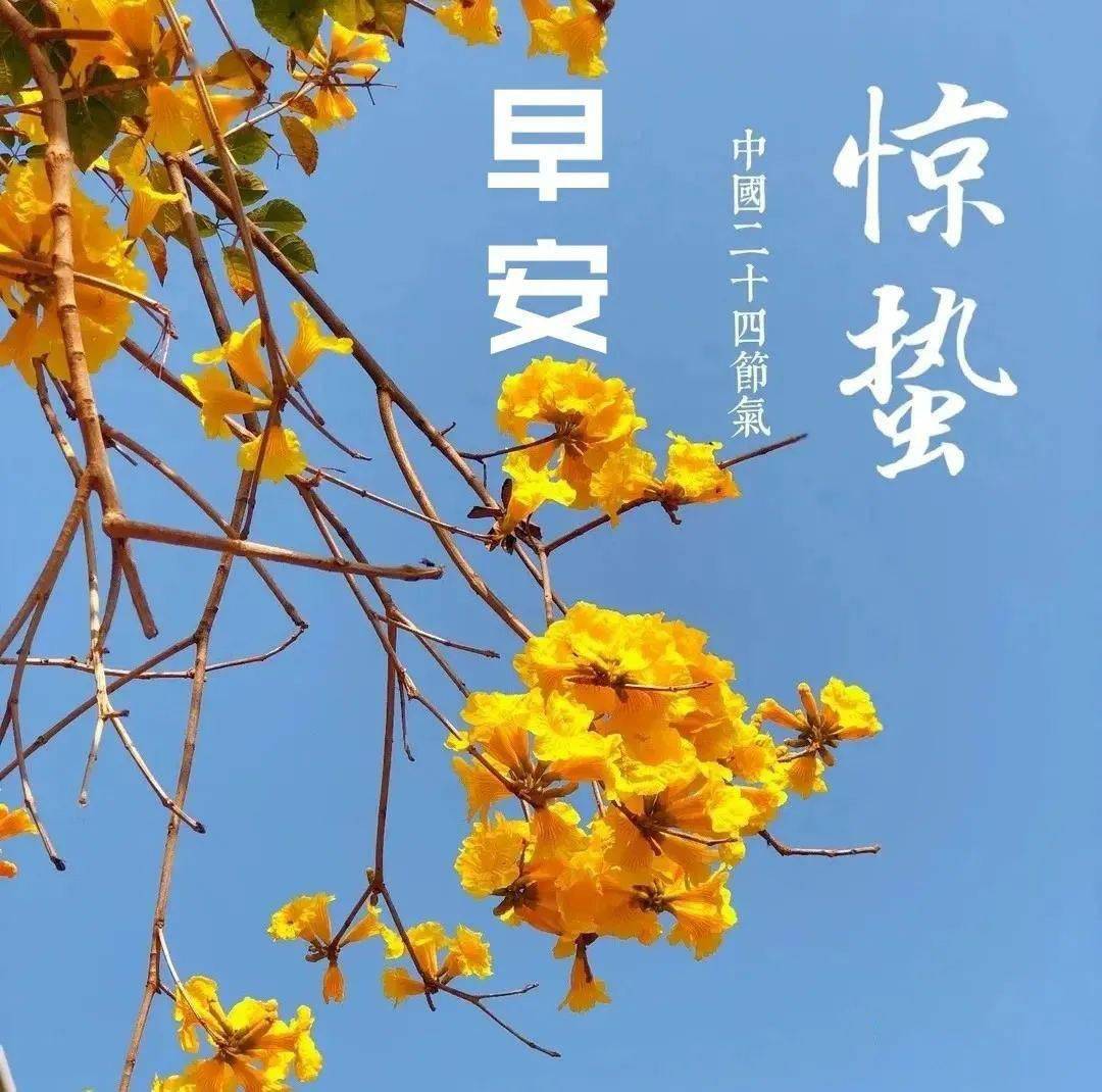 正月廿二惊蛰创意唯美早安问候祝福图片带字温馨 免打字朋友圈问候