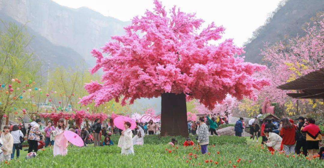 官宣:2021宝泉山地郁金香踏青赏花节开幕式隆重举行!