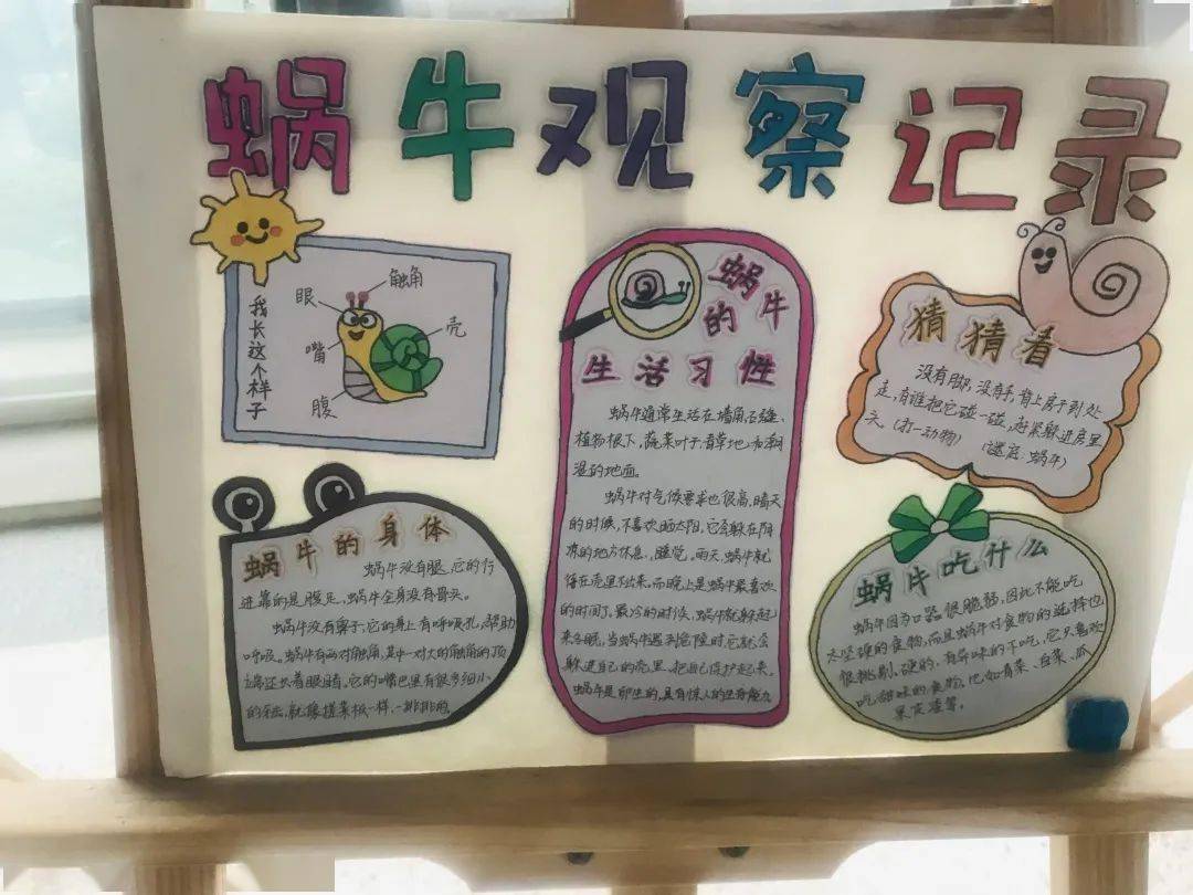 精彩作业展东二实小学生寒假特色作业展