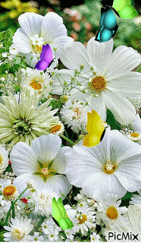 291_500 竖版 竖屏