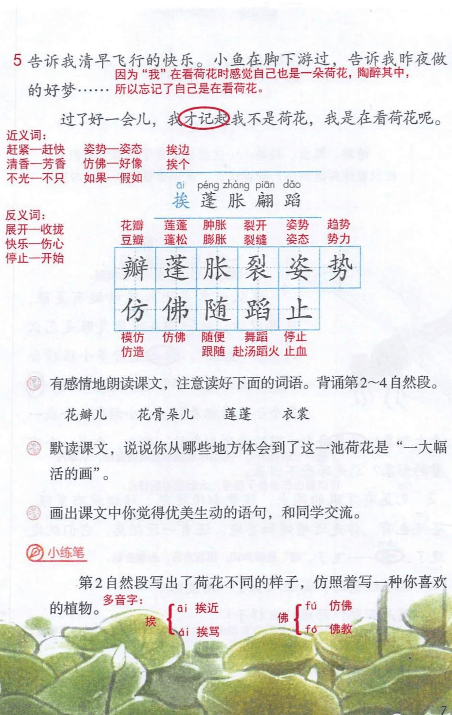 学霸笔记 默写专题┃部编版小学语文3年级下册:3 荷花