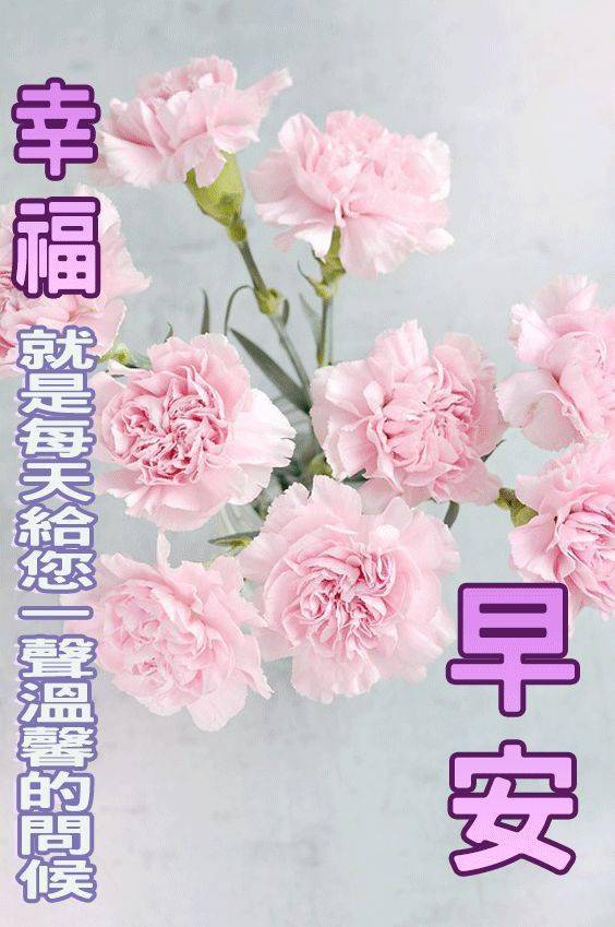 3月8日女神节早上好漂亮的鲜花美图送给大家,祝你们快乐相随,天天开心