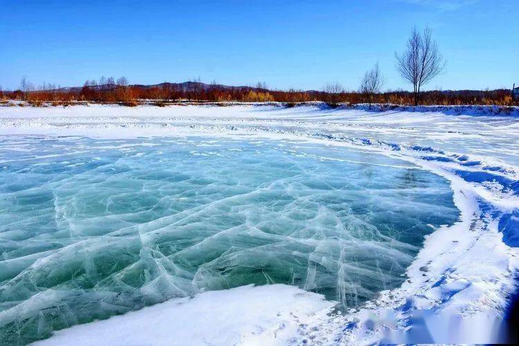 雪映红柳大兴安岭的春天来了