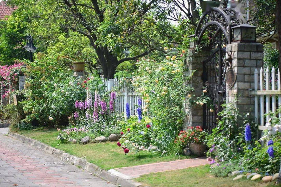 栅栏缩进后,邻居也可以欣赏到美丽的花园风景了