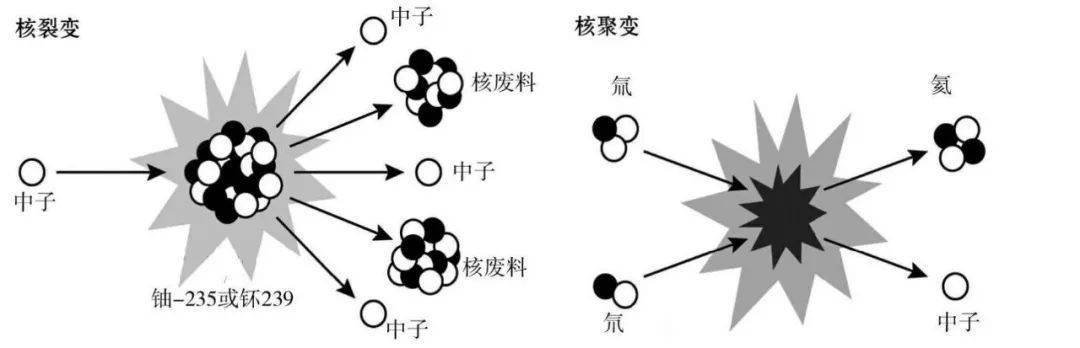 (裂变和聚变,来源:知乎)