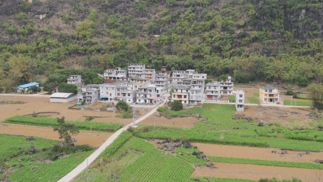 马山县:自己动手筑造美丽家园,乡村建设水平不断提升