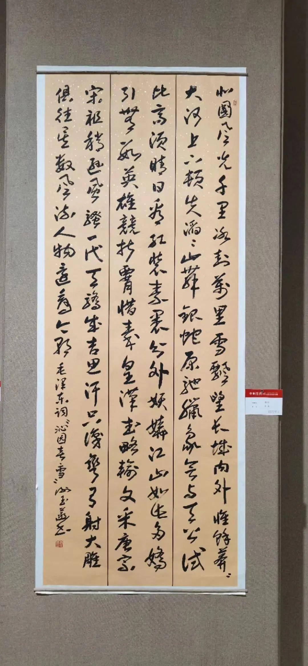花开盛世庆祝中国共产党成立100周年巾帼墨韵菏泽市首届妇女书法作品