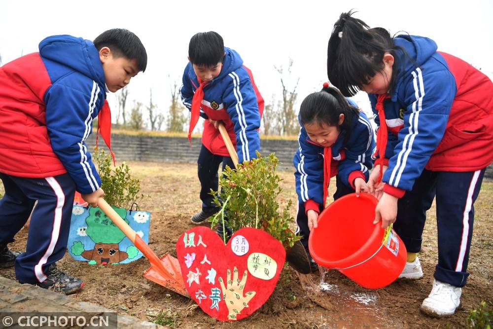 春天里 植树忙_活动