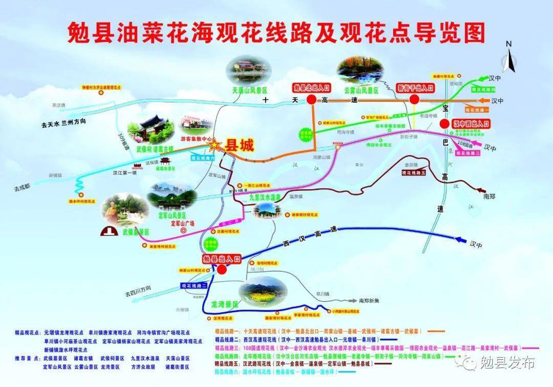 2021年汉中油菜花节勉县分会场多项活动等你来!_旅游