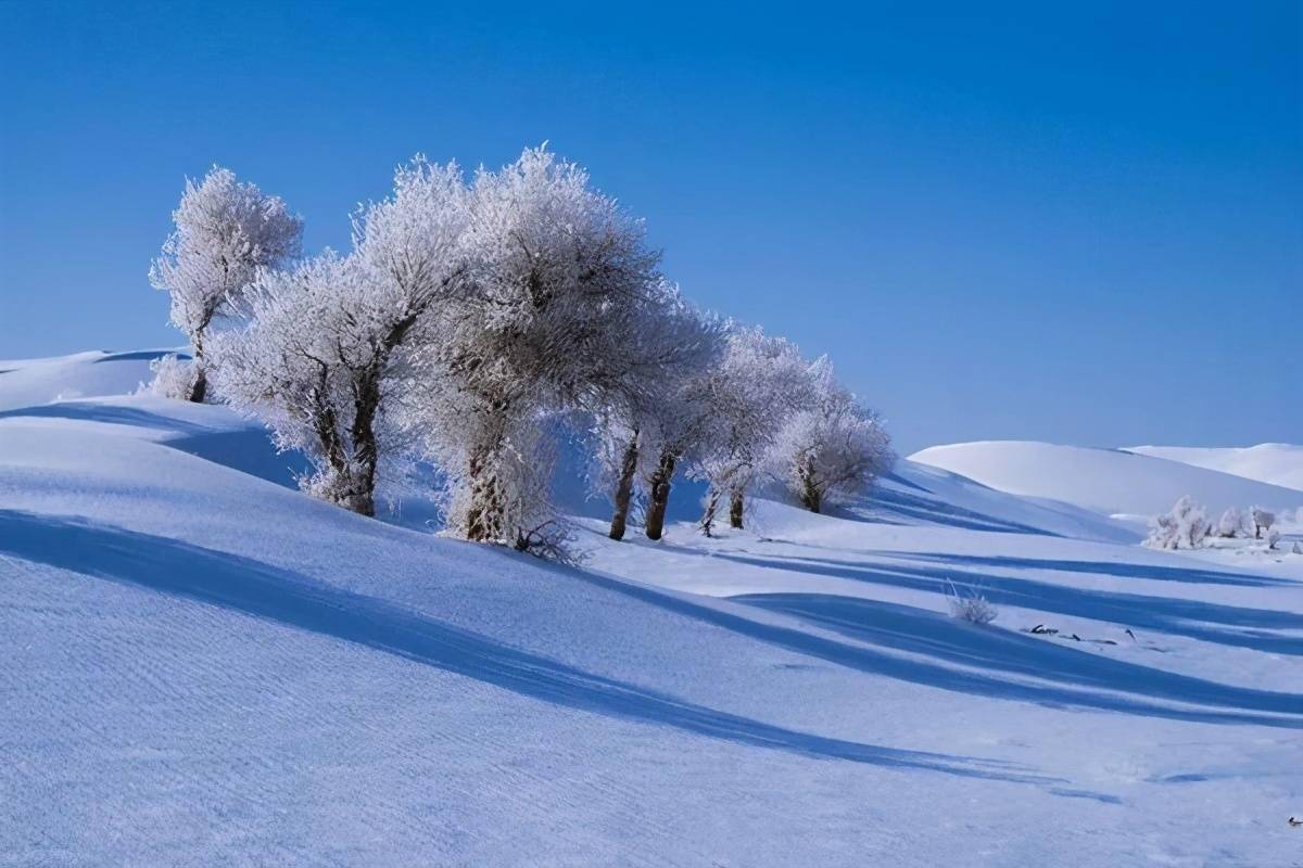 瑞雪 塔克拉玛干大沙漠_胡杨