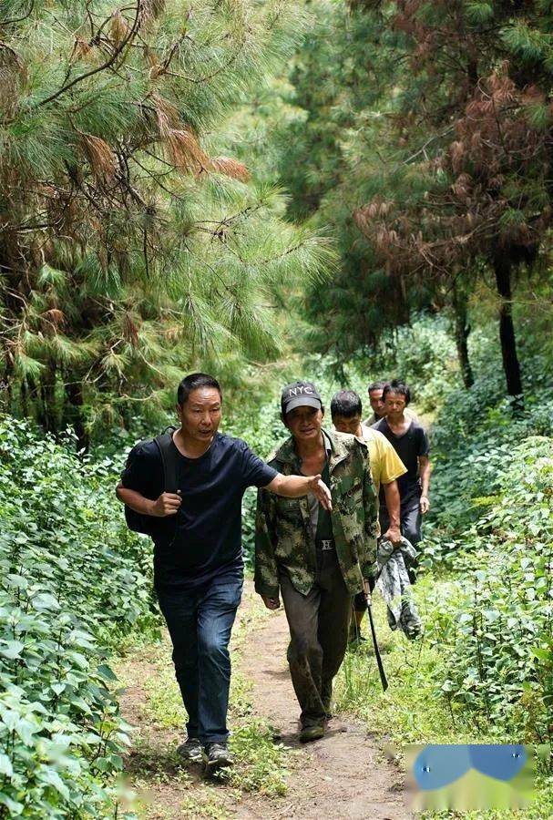 张林波(左一)带领林场工人巡山.新华社记者 秦晴 摄