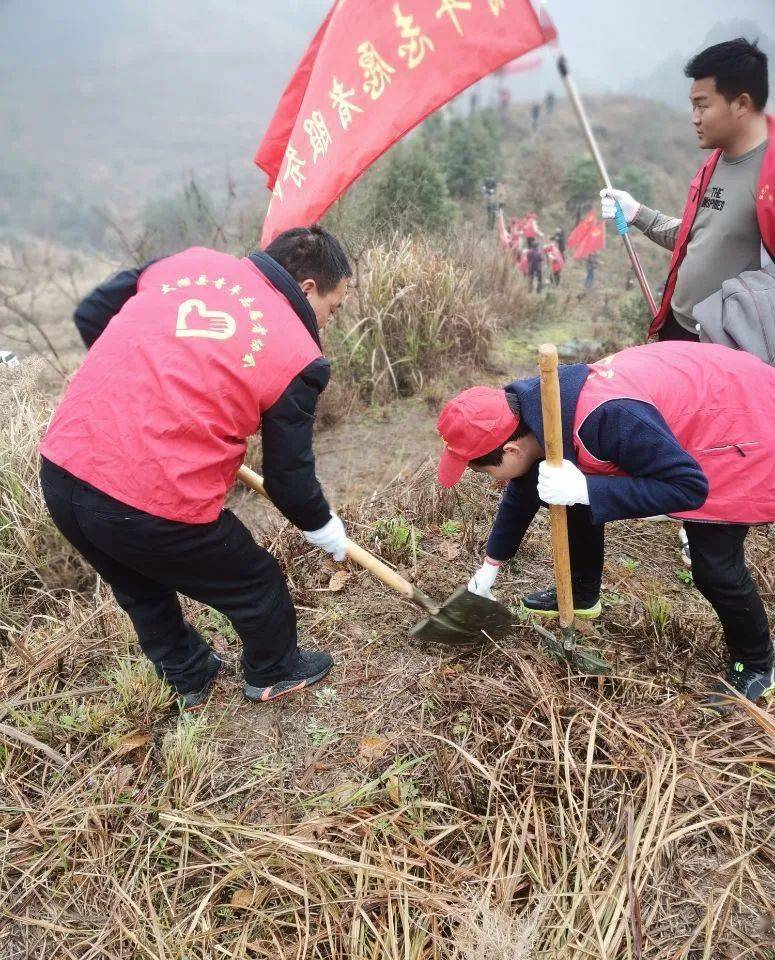 春光无限好 植树正当时 太湖"林小青"在行动!_活动