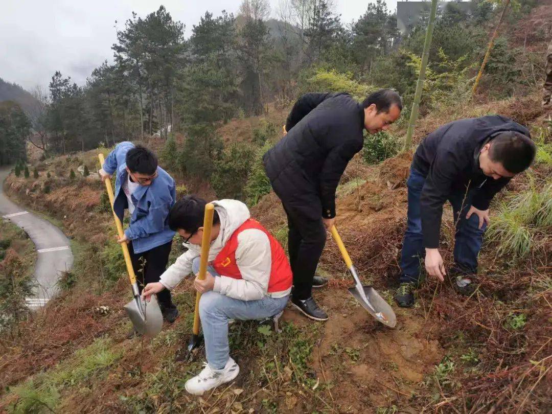 春光无限好 植树正当时 太湖"林小青"在行动!_活动