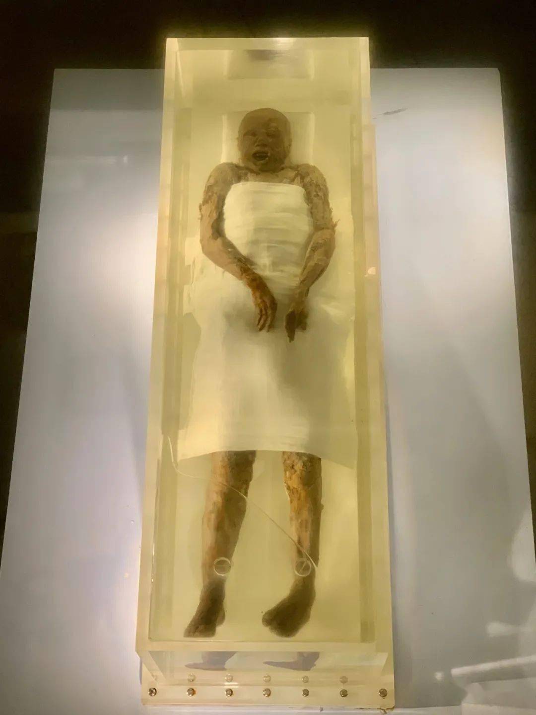 8厘米 2002年连云港市海州区双龙汉墓三号棺出土